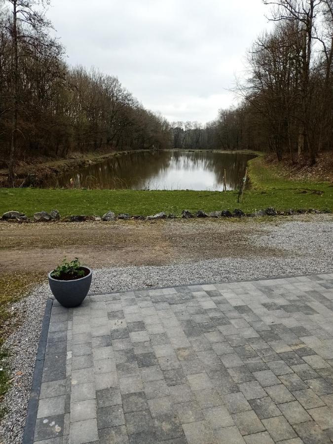 Deux Etangs Poissonneux Au Milieu Des Bois Avec Gite Moderne, La Halte Des Deux Lacs Rosée エクステリア 写真