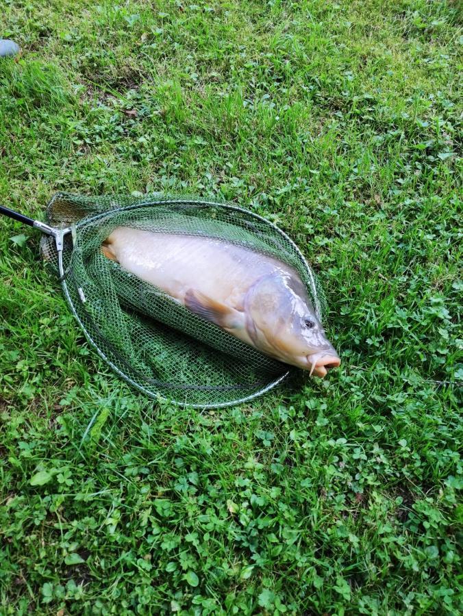 Deux Etangs Poissonneux Au Milieu Des Bois Avec Gite Moderne, La Halte Des Deux Lacs Rosée エクステリア 写真