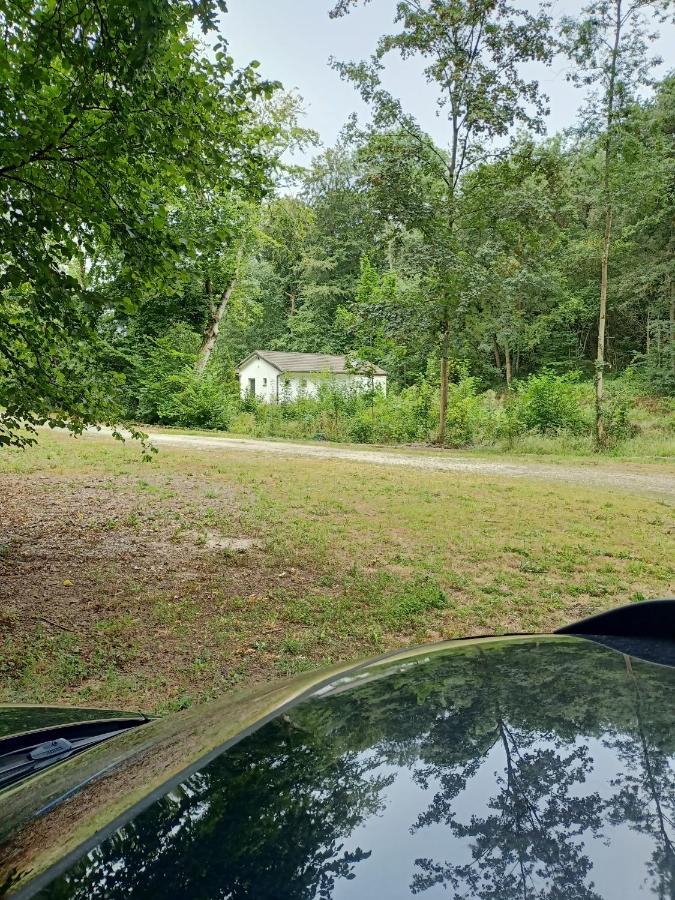 Deux Etangs Poissonneux Au Milieu Des Bois Avec Gite Moderne, La Halte Des Deux Lacs Rosée エクステリア 写真