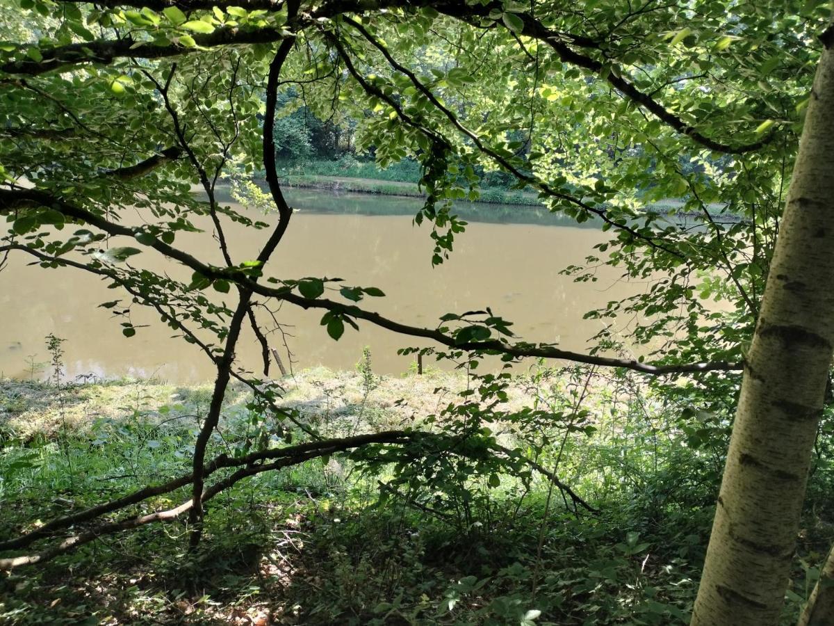 Deux Etangs Poissonneux Au Milieu Des Bois Avec Gite Moderne, La Halte Des Deux Lacs Rosée エクステリア 写真