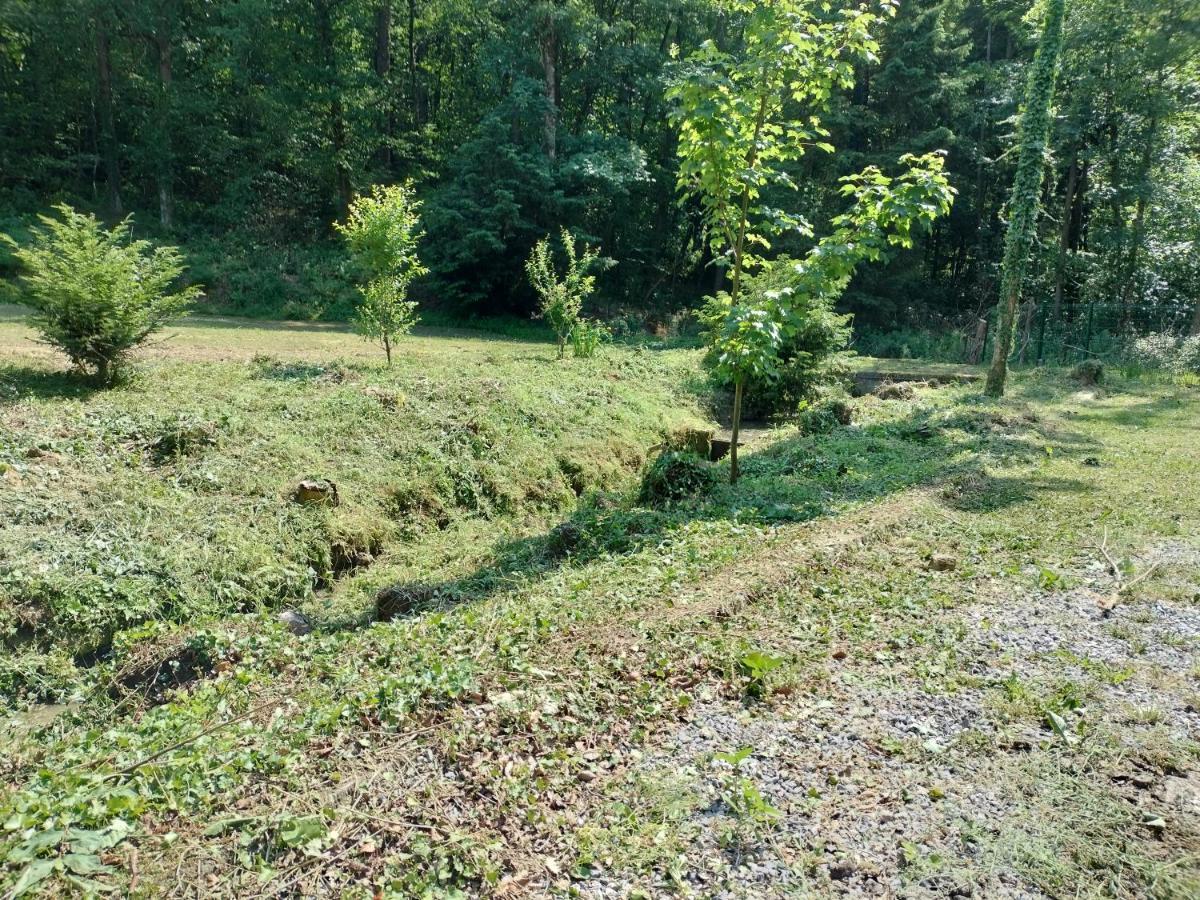 Deux Etangs Poissonneux Au Milieu Des Bois Avec Gite Moderne, La Halte Des Deux Lacs Rosée エクステリア 写真