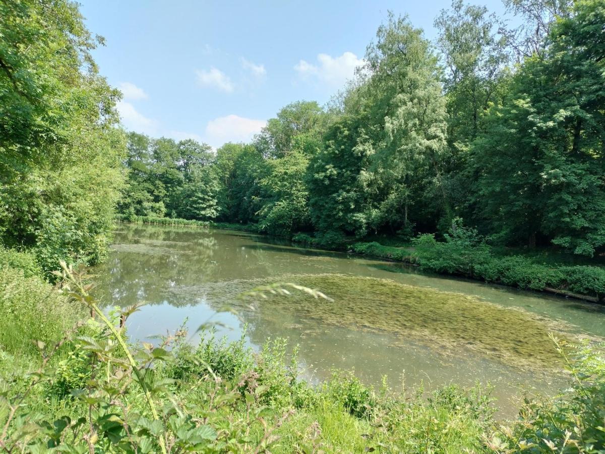 Deux Etangs Poissonneux Au Milieu Des Bois Avec Gite Moderne, La Halte Des Deux Lacs Rosée エクステリア 写真